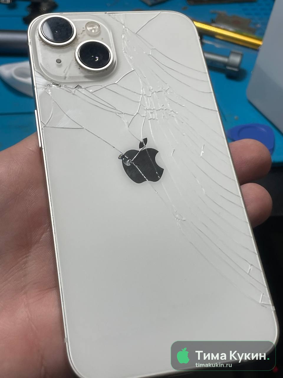 Ремонт iPhone 14 в Барнауле: замена дисплея и корпуса